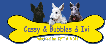 Cassy, Bubbles & Ivi