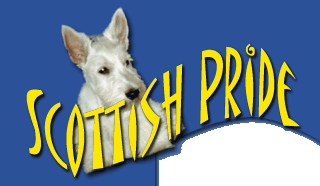 Scottish-Pride